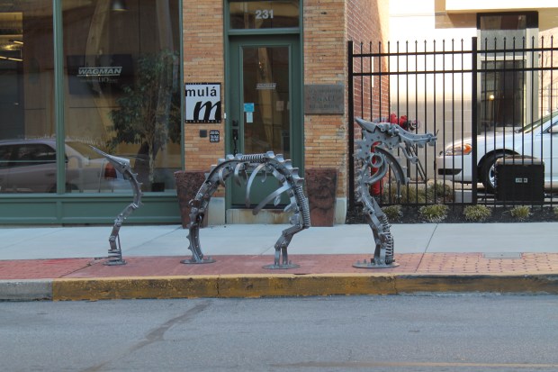 digital  Feb mar 075