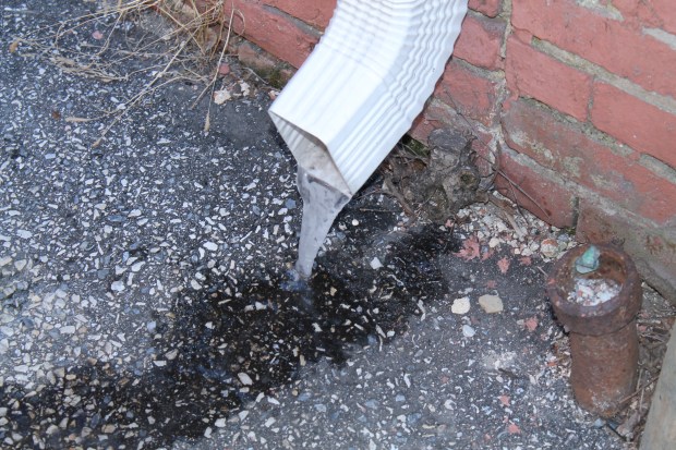 digital  Feb mar 112