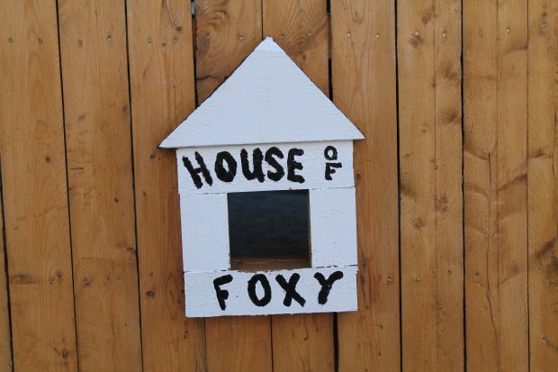 digital  Feb mar 114