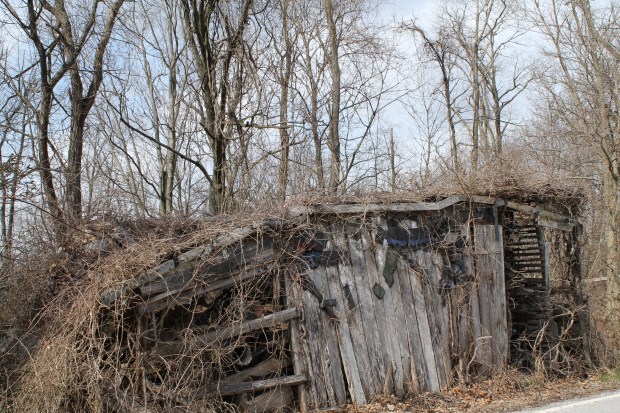 digital  Feb mar 314