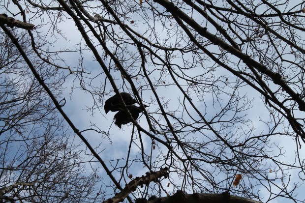 Waiting for me to leave their home