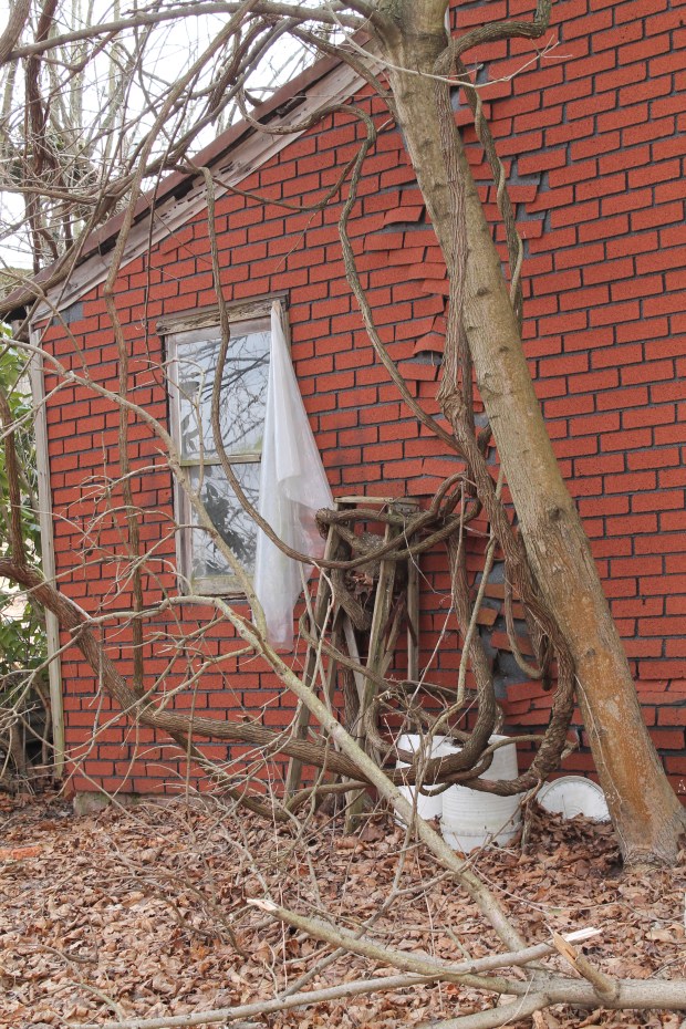 digital  Feb mar 333