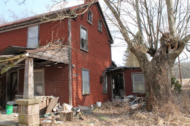 digital  Feb mar 342