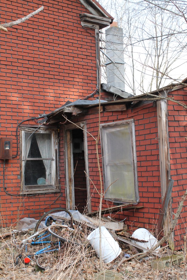 digital  Feb mar 346