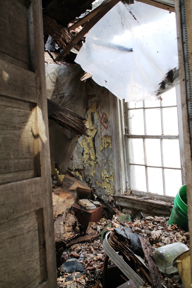 digital  Feb mar 351