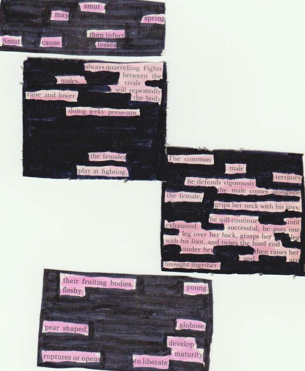 I tried my hand at marker black out prose.  