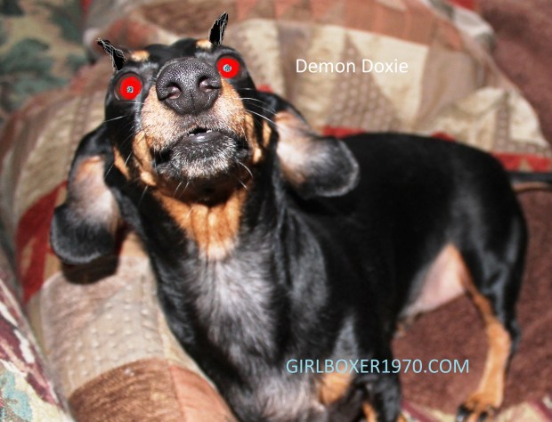 Look into my eyes...so I can steal your sandwich.