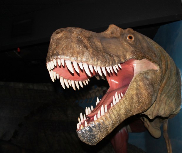 Academy of Natural Sciences