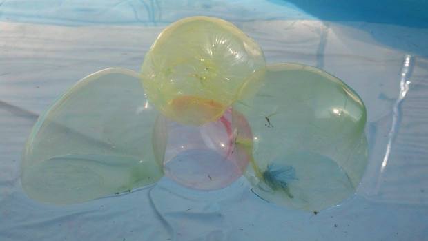 1090656_607634695923290_183136250_o