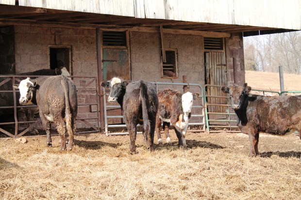 Now that I have everyone's attention.