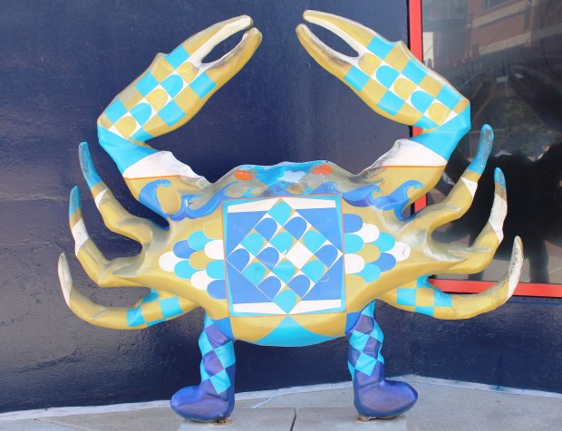 Crab art