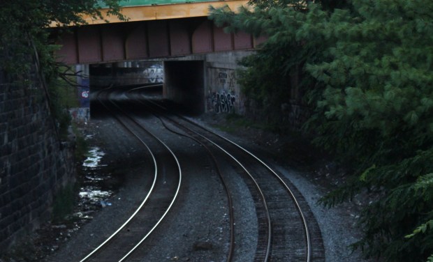 The tracks back home