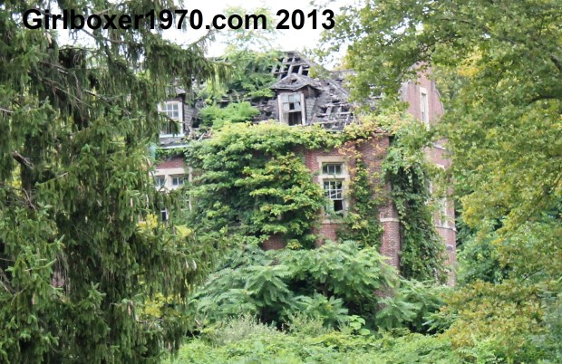 A fire takes out a portion of roof.