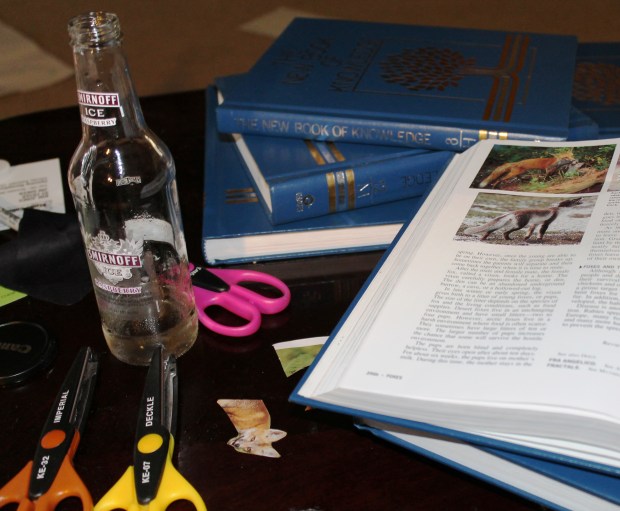 I only had one Smirnoff in the fridge, so it                      no influence my project.                                              