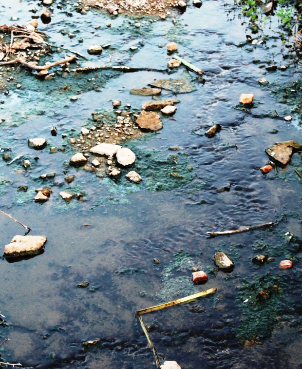 The stream through HOINA is green with a top layer of oily slime.