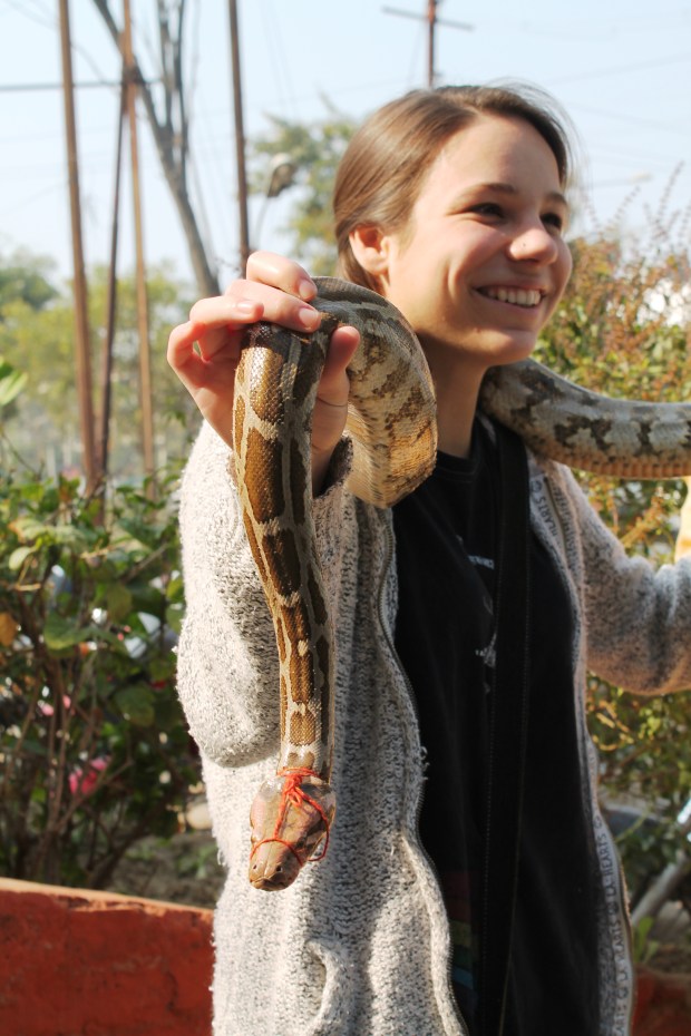 Allie holds a boa...notice hers is muzzled. LOL
