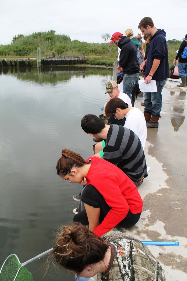 Wallops Island Morning Afternoon Friday 071